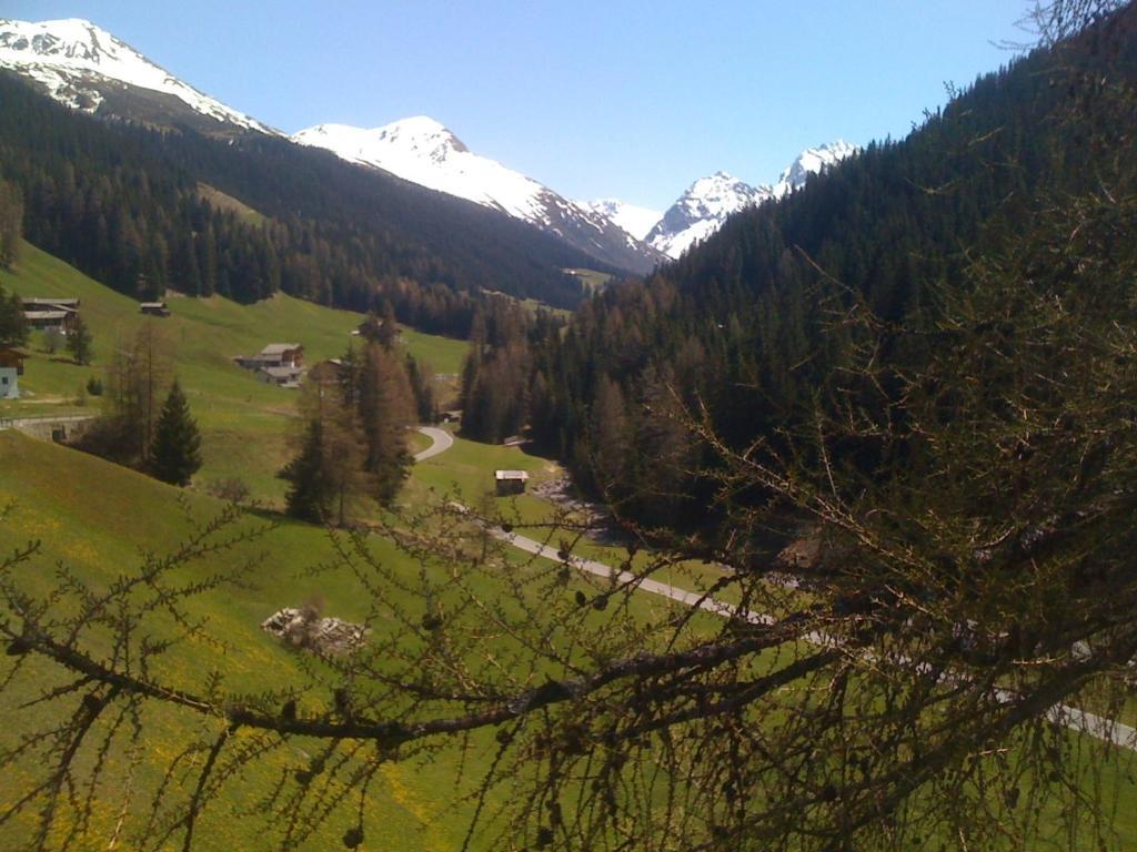 Ferienwohnung Casa Pramalinis - Manstein Davos Exterior foto